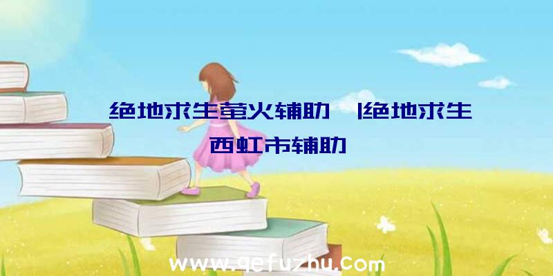 「绝地求生萤火辅助」|绝地求生西虹市辅助